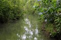 (17) Le Marais Poitevin